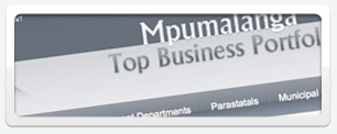 Mpumalanga Top Business