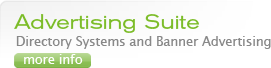 Manage advertising opportunities on your website