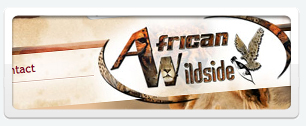 African Wildside